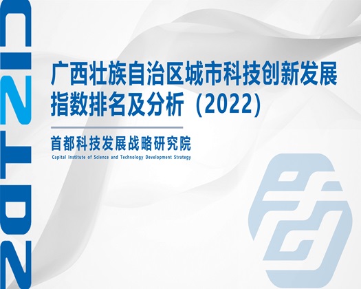 美女干B网站在线观看【成果发布】广西壮族自治区城市科技创新发展指数排名及分析（2022）